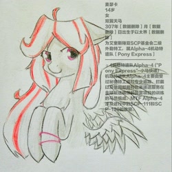 Size: 2000x2000 | Tagged: safe, artist:龙宠, imported from derpibooru, oc, oc only, oc:mascara, oc:meseka, pegasus, pony, chinese, double wings, introduction, mobile task force, multiple wings, scp, scp foundation, solo, text, wings