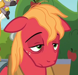 Size: 596x577 | Tagged: safe, imported from derpibooru, screencap, big macintosh, earth pony, pony, going to seed, cropped, hoers, horse face, male, solo, solo focus, stallion, tired