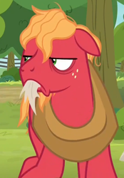 Size: 556x799 | Tagged: safe, imported from derpibooru, screencap, big macintosh, earth pony, pony, going to seed, angry, bags under eyes, big macintosh is not amused, cropped, frown, male, messy mane, mouth hold, solo, stallion, tired