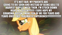 Size: 2048x1152 | Tagged: safe, edit, edited screencap, imported from derpibooru, screencap, applejack, going to seed, abuse, caption, crying, excessive exclamation marks, female, filly, filly applejack, image macro, implied bright mac, implied granny smith, implied pear butter, jackabuse, op is a duck, sad, sad but true, text, unfortunate implications, wall of text, younger