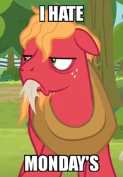 Size: 418x600 | Tagged: safe, edit, edited screencap, imported from derpibooru, screencap, big macintosh, earth pony, pony, going to seed, angry, bags under eyes, cropped, ears back, floppy ears, frown, garfield, grammar error, i hate mondays, male, meme, messy mane, solo, stallion, tired