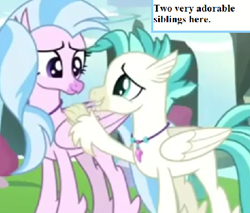 Size: 473x403 | Tagged: safe, edit, edited screencap, imported from derpibooru, screencap, silverstream, terramar, student counsel, brother and sister, captain obvious, cropped, cute, diastreamies, female, inset, jewelry, male, necklace, siblings, terrabetes, text