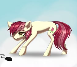 Size: 1734x1506 | Tagged: safe, artist:cr, imported from derpibooru, roseluck, earth pony, pony, behaving like a cat, commissioner:doom9454, computer mouse, concave belly, cute, female, mare, pony pet, rosepet, solo