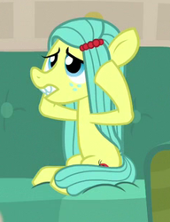 Size: 237x309 | Tagged: safe, imported from derpibooru, screencap, ocellus, earth pony, pony, student counsel, cropped, disguise, disguised changeling, female, head in hooves, pony ocellus, sitting, solo