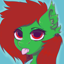 Size: 2500x2500 | Tagged: safe, artist:ardythewonderfull, imported from derpibooru, oc, oc only, oc:watermelon frenzy, bat pony, pony, :p, bat pony oc, bust, ear fluff, fangs, looking at you, male, solo, tongue out, trap