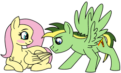 Size: 1000x600 | Tagged: safe, artist:didgereethebrony, imported from derpibooru, fluttershy, oc, oc:didgeree, pegasus, pony, base used, blushing, canon x oc, chest fluff, female, flutterdidge, male, mare, preggoshy, pregnant, shipping, simple background, stallion, straight, transparent background