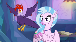 Size: 2100x1180 | Tagged: safe, imported from derpibooru, screencap, edith (cockatrice), silverstream, classical hippogriff, cockatrice, hippogriff, student counsel, duo, edith, female, jewelry, necklace, red eyes, spread wings, wings