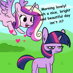 Size: 1650x1650 | Tagged: safe, artist:tjpones, artist:tjpones edits, edit, imported from derpibooru, princess cadance, twilight sparkle, alicorn, pony, unicorn, female, flying, grumpy, grumpy twilight, mare, unicorn twilight