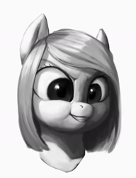 Size: 1024x1333 | Tagged: safe, artist:eerinless, imported from derpibooru, oc, oc only, earth pony, pony, bust, monochrome, puffy cheeks, simple background, solo, white background