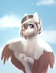 Size: 805x1037 | Tagged: safe, artist:eerinless, imported from derpibooru, oc, oc only, pegasus, pony, cloud, sky, solo