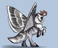 Size: 1024x851 | Tagged: safe, artist:eerinless, imported from derpibooru, oc, oc only, oc:todd, mothpony, original species, blue background, coat markings, floppy ears, looking at you, male, rearing, simple background, solo, spread wings, stallion, unshorn fetlocks, wings