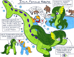 Size: 2194x1694 | Tagged: safe, artist:jamestkelley, imported from derpibooru, oc, oc:isla, boar, kelpie, pony, bubble, drinking, fish tail, hypnotic song, lake, nictitating membrane, redraw, singing, snorkel, surprised, swimming, traditional art