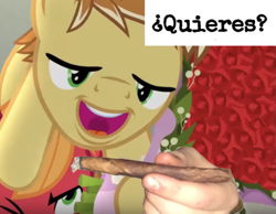 Size: 1115x867 | Tagged: safe, edit, edited screencap, imported from derpibooru, screencap, big macintosh, feather bangs, hard to say anything, caption, cropped, downvote bait, drugs, image macro, male, marijuana, meme, spanish, text, ¿quieres?
