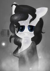 Size: 407x575 | Tagged: safe, artist:lucas47-46, imported from derpibooru, oc, oc only, oc:bleached hibiscus, earth pony, pony, clothes, female, mare, monochrome, solo