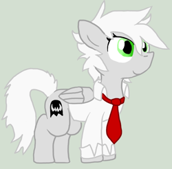 Size: 946x932 | Tagged: safe, artist:lucas47-46, imported from derpibooru, oc, oc only, oc:terra normal, pegasus, pony, clothes, female, mare, necktie, shirt, solo