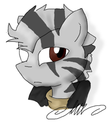 Size: 354x393 | Tagged: safe, artist:lucas47-46, imported from derpibooru, oc, oc only, pony, zebra, bust, disembodied head, head, male, solo