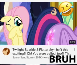 Size: 750x634 | Tagged: safe, artist:jawsandgumballfan24, edit, edited screencap, imported from derpibooru, screencap, fluttershy, twilight sparkle, alicorn, the hooffields and mccolts, bruh, emoji, emotes, emoticon, one eye closed, text, twilight sparkle (alicorn), youtube