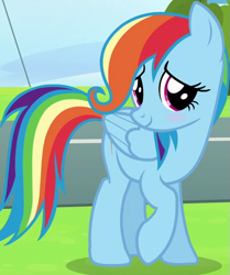 Size: 509x608 | Tagged: safe, imported from derpibooru, screencap, rainbow dash, pegasus, pony, newbie dash, alternate hairstyle, bashful, behaving like fluttershy, blushing, care mare, cropped, cute, daaaaaaaaaaaw, dashabetes, dashful, female, mane swap, mare, sheepish grin, shy, smiling, solo