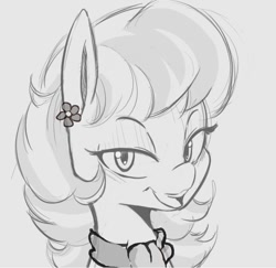 Size: 969x940 | Tagged: safe, artist:tre, imported from derpibooru, aunt holiday, earth pony, pony, clothes, cute, female, gray background, grayscale, mare, monochrome, scarf, simple background, solo