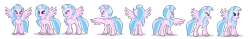 Size: 8000x1250 | Tagged: safe, artist:twilight-twinkle, imported from derpibooru, silverstream, classical hippogriff, hippogriff, female, rotation, simple background, transparent background, turnaround