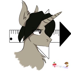 Size: 768x768 | Tagged: safe, artist:joestarpon3, imported from derpibooru, oc, oc only, oc:archooves, pony, unicorn, bust, male, solo, stallion