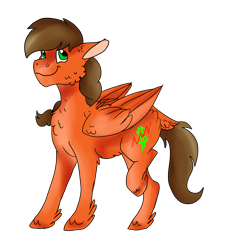 Size: 2000x2000 | Tagged: safe, artist:euspuche, imported from derpibooru, oc, oc:solar chaser, pegasus, pony, chest fluff, fluffy, looking at you, simple background, smiling, transparent background