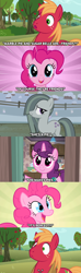 Size: 1280x4320 | Tagged: safe, edit, edited screencap, imported from derpibooru, screencap, big macintosh, marble pie, pinkie pie, sugar belle, pony, a friend in deed, hard to say anything, hearthbreakers, no second prances, party of one, awkward, caption, comic, everything went better than expected, friendship, friendshipper on deck, friendshipping, pinkie logic, screencap comic, shocked, shocked expression, silence, speechless, stunned, surprised, unexpected, what a twist