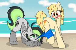 Size: 3910x2550 | Tagged: safe, artist:takaneko13, imported from derpibooru, oc, oc only, oc:bree jetpaw, oc:mozzarella orgy, dog, earth pony, food pony, original species, pegasus, pizza pony, pony, assisted exposure, beach, cheeze, clothes, female, food, mare, meat, ocean, pepperoni, rainbow falls nude beach getaway, sand