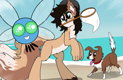 Size: 3910x2550 | Tagged: safe, artist:takaneko13, imported from derpibooru, winona, oc, oc:finn, dog, dog pony, parasprite, pony, beach, day, hat, having fun, male, net, ocean, rainbow falls nude beach getaway