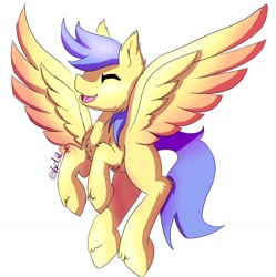 Size: 1633x1637 | Tagged: safe, artist:noxi1_48, imported from derpibooru, pegasus, pony, digital art, fluffy, happy, male, stallion
