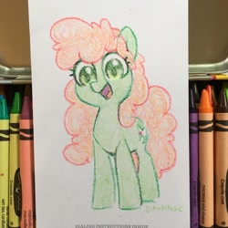 Size: 2048x2048 | Tagged: safe, artist:dawnfire, imported from derpibooru, oc, oc only, earth pony, pony, earth pony oc, solo, traditional art
