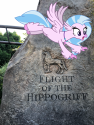 Size: 3024x4032 | Tagged: safe, artist:hendro107, artist:marches45, imported from derpibooru, silverstream, classical hippogriff, hippogriff, female, flight of the hippogriff, florida, harry potter, harry potter (series), hippogriffs in real life, irl, orlando, photo, ponies in real life, real life background, solo, theme park, universal studios, universal's islands of adventure