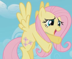 Size: 879x720 | Tagged: safe, imported from derpibooru, screencap, fluttershy, pegasus, pony, may the best pet win, cropped, cute, hug, incoming hug
