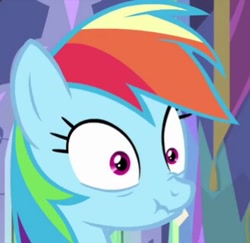 Size: 328x319 | Tagged: safe, imported from derpibooru, screencap, rainbow dash, pony, ail-icorn, spoiler:interseason shorts, cropped, cute, dashie mcboing boing, female, mare, scrunchy face, solo