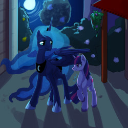 Size: 1500x1500 | Tagged: safe, artist:bel-assa, imported from derpibooru, princess luna, twilight sparkle, alicorn, pony, unicorn, duo, ethereal mane, feather, female, mare, moon, night, ponyville, princess, scenery, starry mane, town, transparent mane, unicorn twilight, wings