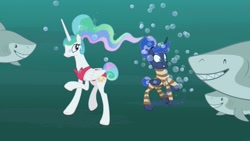 Size: 1920x1080 | Tagged: safe, imported from derpibooru, screencap, princess celestia, princess luna, alicorn, great white shark, pony, shark, between dark and dawn, alternate hairstyle, barehoof, bikini, bubble, clothes, fangs, female, hair bun, holding breath, hungry, mare, oh dear, oh no, ponytail, red swimsuit, royal sisters, scared, sharp teeth, striped swimsuit, swimming, swimsuit, tail bun, teeth, underwater, wide eyes