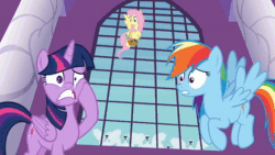 Size: 1280x720 | Tagged: safe, imported from derpibooru, screencap, fancypants, fluttershy, rainbow dash, twilight sparkle, alicorn, pony, swan, between dark and dawn, amused, animated, canterlot, canterlot castle, clothes, flock, laughing, monocle, newspaper, noble, sound, suit, table, twilight sparkle (alicorn), webm