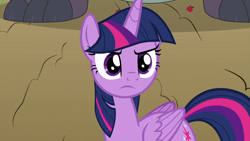 Size: 1920x1080 | Tagged: safe, imported from derpibooru, screencap, mr. tortoisnap, twilight sparkle, alicorn, pony, between dark and dawn, female, mare, solo, twilight sparkle (alicorn)