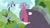 Size: 1920x1080 | Tagged: safe, imported from derpibooru, screencap, mr. tortoisnap, rainbow dash, rarity, spike, dragon, pegasus, pony, unicorn, between dark and dawn, bow, duo, female, giant tortoise, holding a pony, magic, magic aura, male, mare, telekinesis, tongue hold, tongue out, tree, winged spike, wings