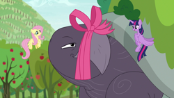 Size: 1920x1080 | Tagged: safe, imported from derpibooru, screencap, fluttershy, mr. tortoisnap, twilight sparkle, alicorn, pony, between dark and dawn, apple tree, bow, giant tortoise, tree, twilight sparkle (alicorn)