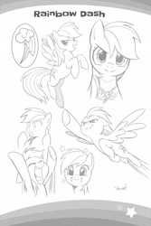 Size: 2107x3160 | Tagged: safe, imported from derpibooru, seven seas, rainbow dash, pegasus, pony, my little pony: the manga, my little pony: the manga volume 1, spoiler:manga, spoiler:manga1, cute, cutie mark, dashabetes, element of loyalty, flying, lineart, looking at you, monochrome, sketch gallery, squee, underhoof