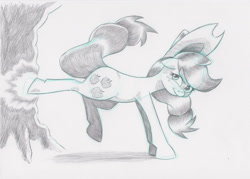 Size: 1592x1143 | Tagged: safe, artist:saturdaymorningproj, imported from derpibooru, applejack, earth pony, pony, applebucking, female, looking at you, mare, monochrome, pencil drawing, simple background, sketch, solo, traditional art, tree, white background