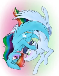 Size: 1100x1400 | Tagged: safe, artist:pegacousinceles, imported from derpibooru, rainbow dash, soarin', pegasus, pony, backwards cutie mark, blushing, chest fluff, eye contact, female, flying, gradient background, looking at each other, male, mare, shipping, soarindash, stallion, straight