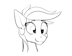 Size: 1200x940 | Tagged: safe, artist:pony-butt-express, imported from derpibooru, pony, bust, lineart, simple background, sketch, smiling, solo, white background