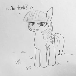 Size: 1283x1279 | Tagged: safe, artist:tjpones, imported from derpibooru, twilight sparkle, pony, unicorn, dialogue, female, grayscale, lidded eyes, looking at you, mare, monochrome, pencil drawing, sarcasm, simple background, solo, traditional art, twilight is not amused, twilight sparkle is not amused, unamused, unicorn twilight