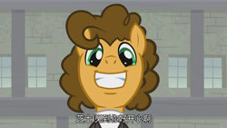 Size: 1920x1080 | Tagged: safe, imported from derpibooru, screencap, cheese sandwich, sans smirk, pony, the last laugh, leak, chinese, mask, subtitles