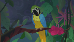 Size: 1920x1080 | Tagged: safe, imported from derpibooru, screencap, bird, blue-and-yellow macaw, macaw, parrot, equestria girls, equestria girls series, spring breakdown, spoiler:eqg series (season 2), ambiguous gender, animal, flower, head tilt, solo