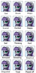 Size: 2349x4739 | Tagged: safe, artist:pridark, imported from derpibooru, maud pie, earth pony, pony, chest fluff, commission, emotions, expressions, female, high res, mare, meme, solo, stoic