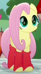 Size: 260x461 | Tagged: safe, imported from derpibooru, screencap, fluttershy, pegasus, pony, rainbow roadtrip, clothes, cropped, cute, cuteness overload, female, leggings, mare, shyabetes, socks, solo