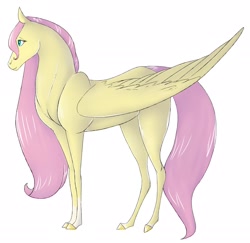 Size: 2048x1990 | Tagged: safe, artist:mapleicious, artist:mapleiciousmlp, imported from derpibooru, fluttershy, horse, pegasus, pony, akhal teke, female, folded wings, profile, solo, wings